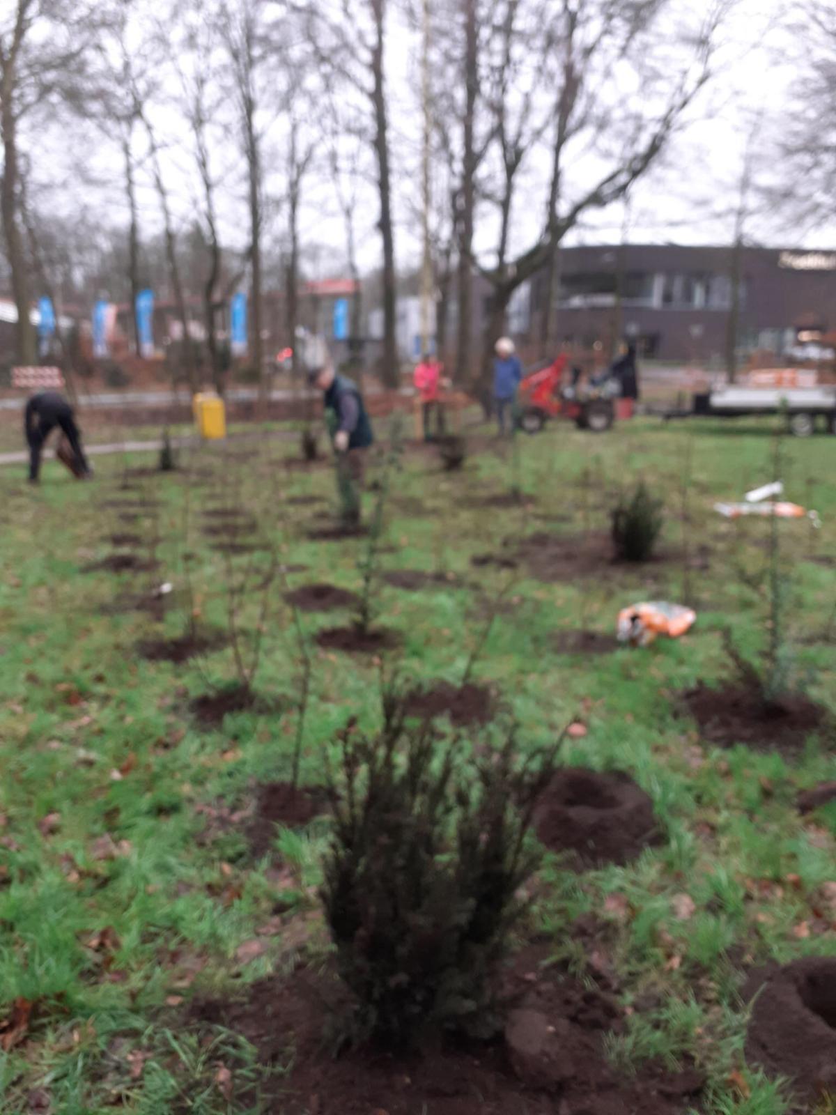 Het is zo ver – nieuwe beplanting!