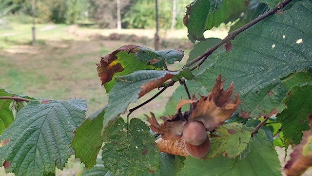 Werkochtend 6 september 2025
