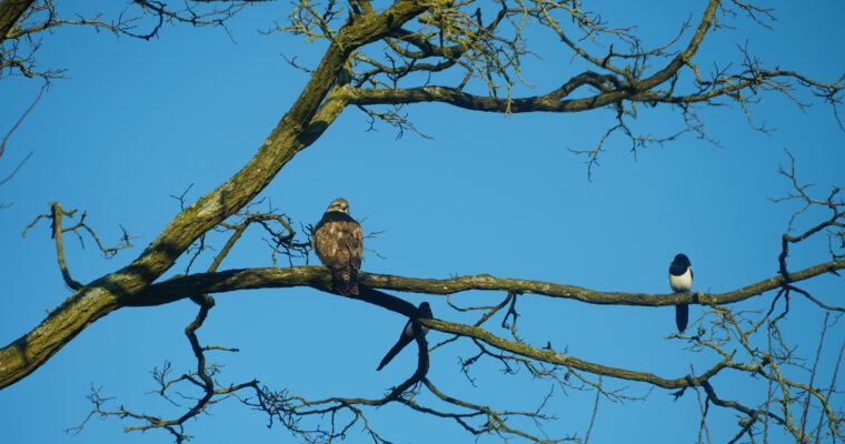 Werkochtend 20 juli 2024