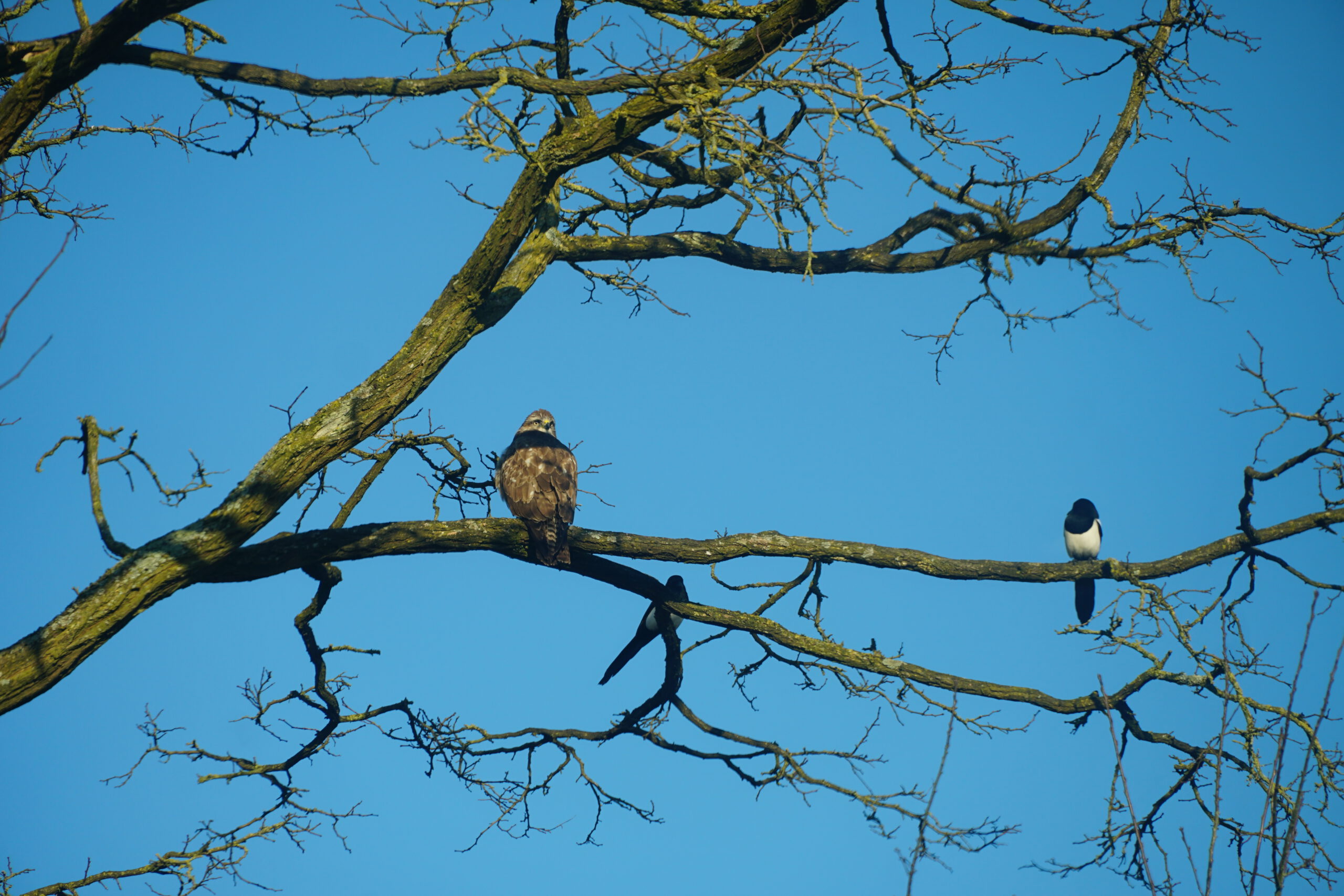 Werkochtend 20 juli 2024