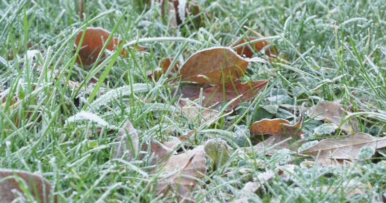 Werkochtend 11 oktober 2025