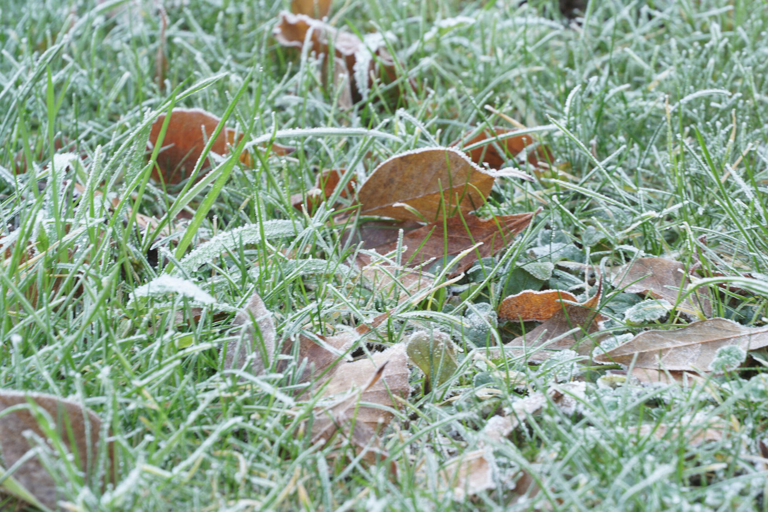Werkochtend 11 oktober 2025