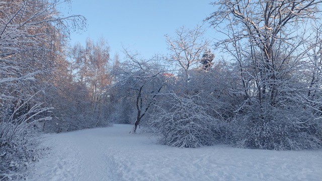Groen Larenstein, het jaar rond